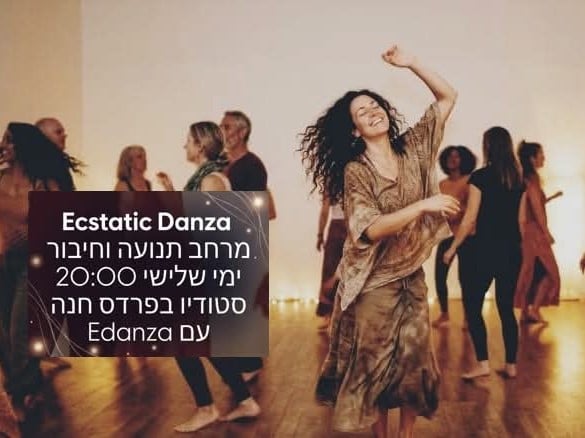 משתתפים בתנועה חופשית בסטודיו