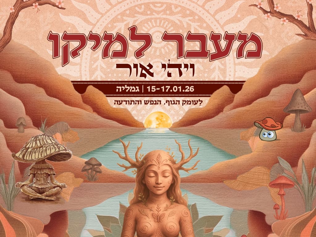 תמונה מתוך פסטיבל אקסטטיק דאנס.