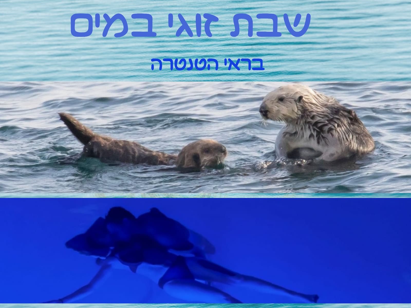 תמונה מתוך סדנת טנטרה לזוגות.